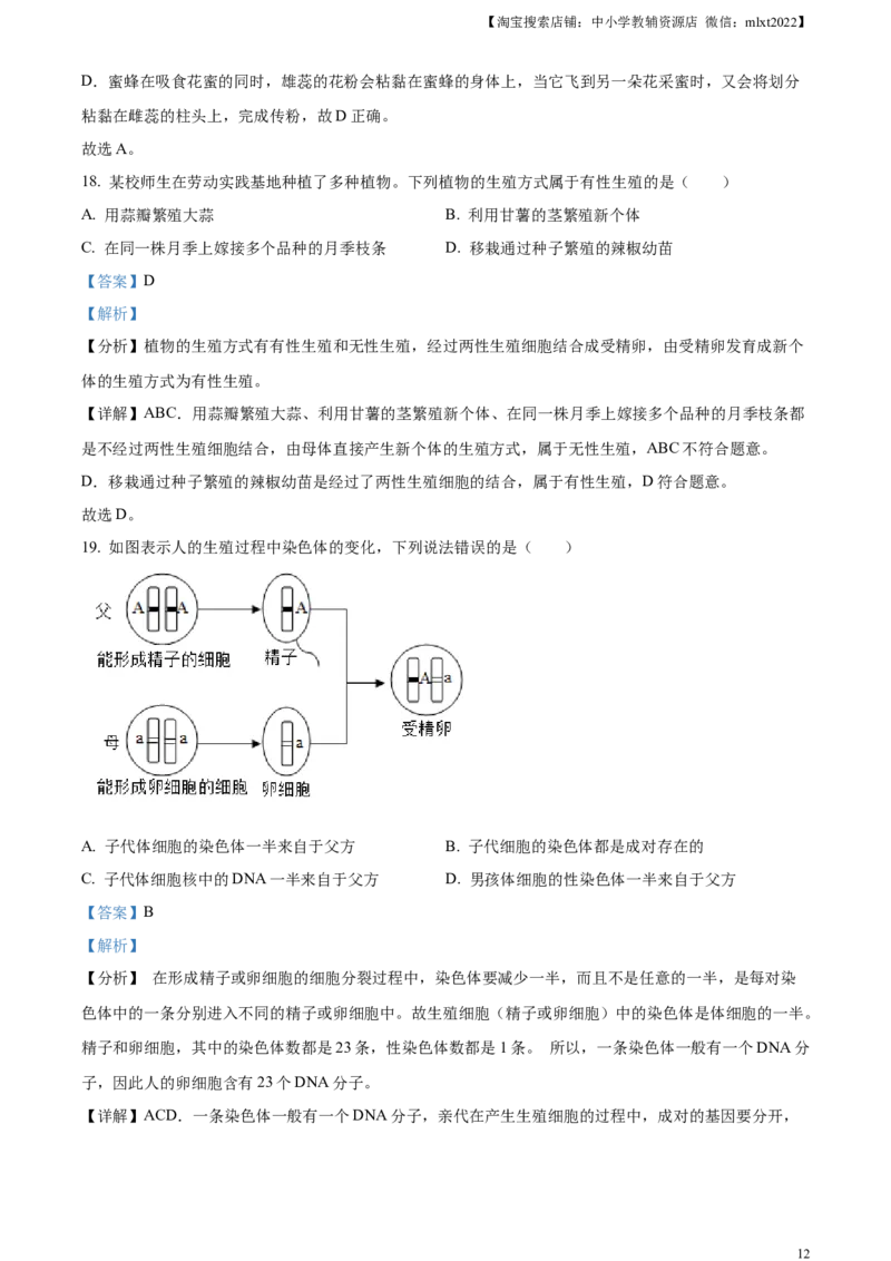 精品解析：2024年山东省聊城市中考生物试题（解析版）_8.生物中考真题2015-2024年_2024年中考生物真题_精品解析：2024年山东省聊城市中考生物试题
