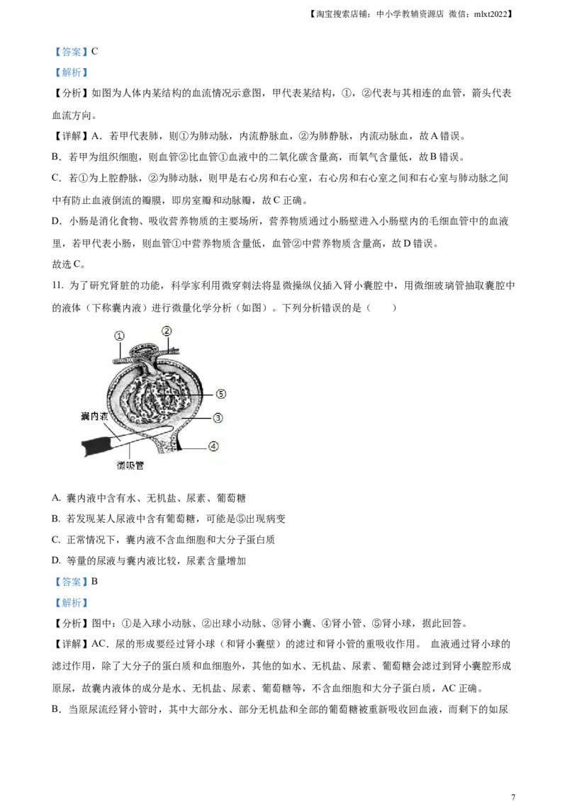 精品解析：2024年山东省聊城市中考生物试题（解析版）_8.生物中考真题2015-2024年_2024年中考生物真题_精品解析：2024年山东省聊城市中考生物试题