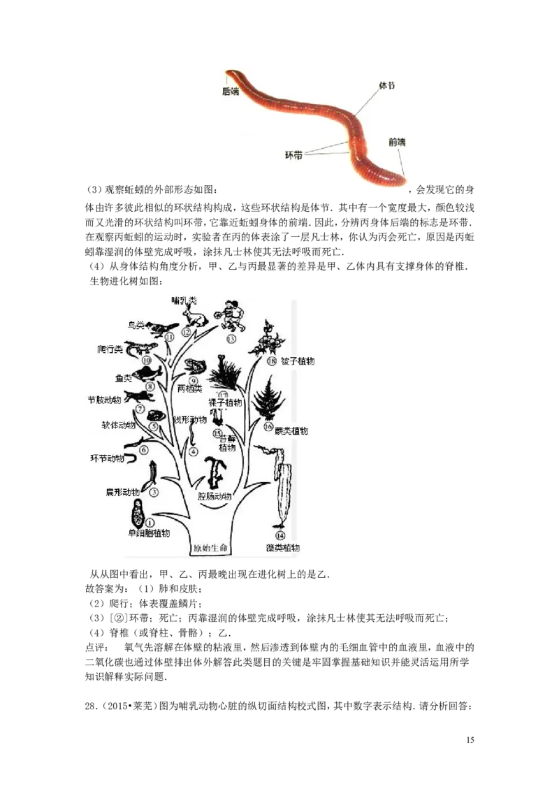 山东省莱芜市2015年中考生物真题试题（含解析）_8.生物中考真题2015-2024年_2015年全国中考生物74份