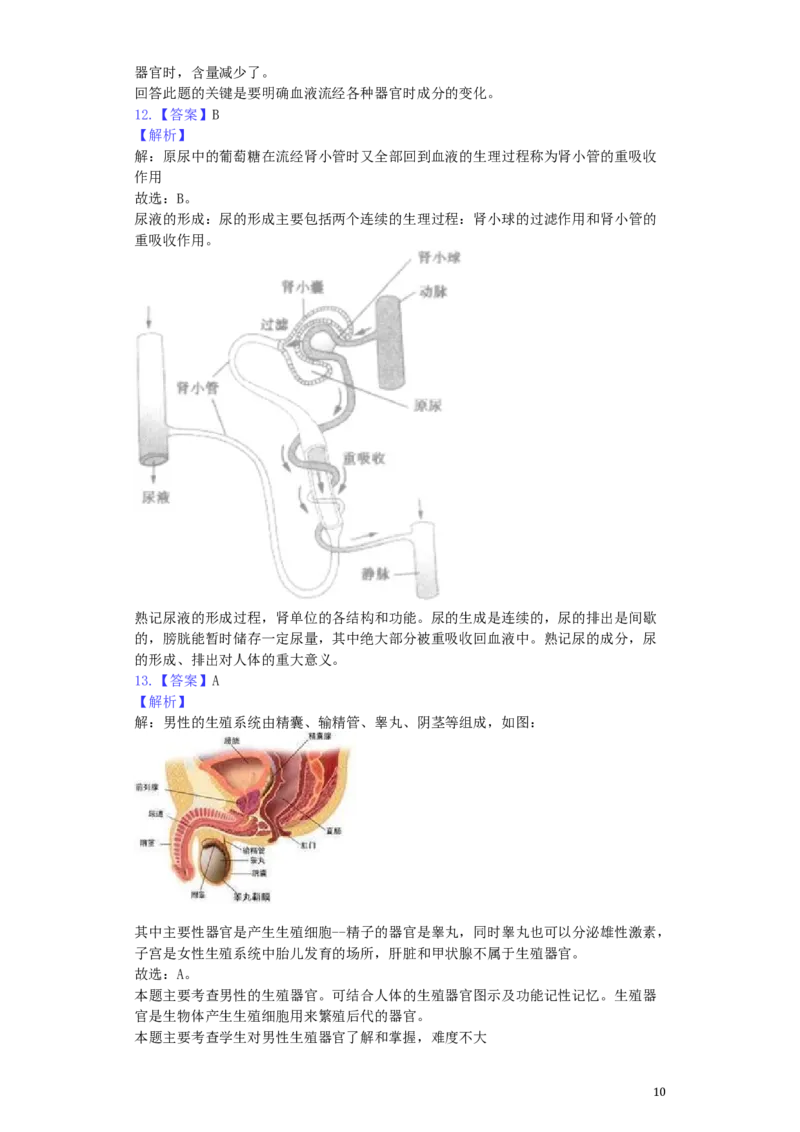 湖南省长沙市2019年中考生物真题试题（含解析）_8.生物中考真题2015-2024年_2019年全国中考生物92份