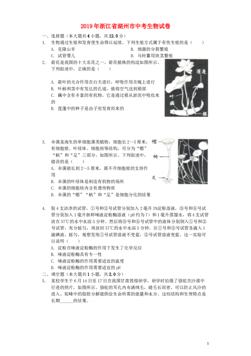 浙江省湖州市2019年中考生物真题试题（含解析）_8.生物中考真题2015-2024年_2019年全国中考生物92份