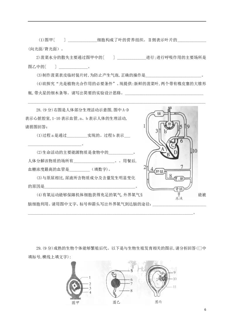 山东省潍坊市2018年中考生物真题试题（含答案）_8.生物中考真题2015-2024年_2018年全国中考生物141份