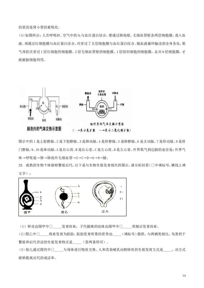 山东省潍坊市2018年中考生物真题试题（含解析）_8.生物中考真题2015-2024年_2018年全国中考生物141份