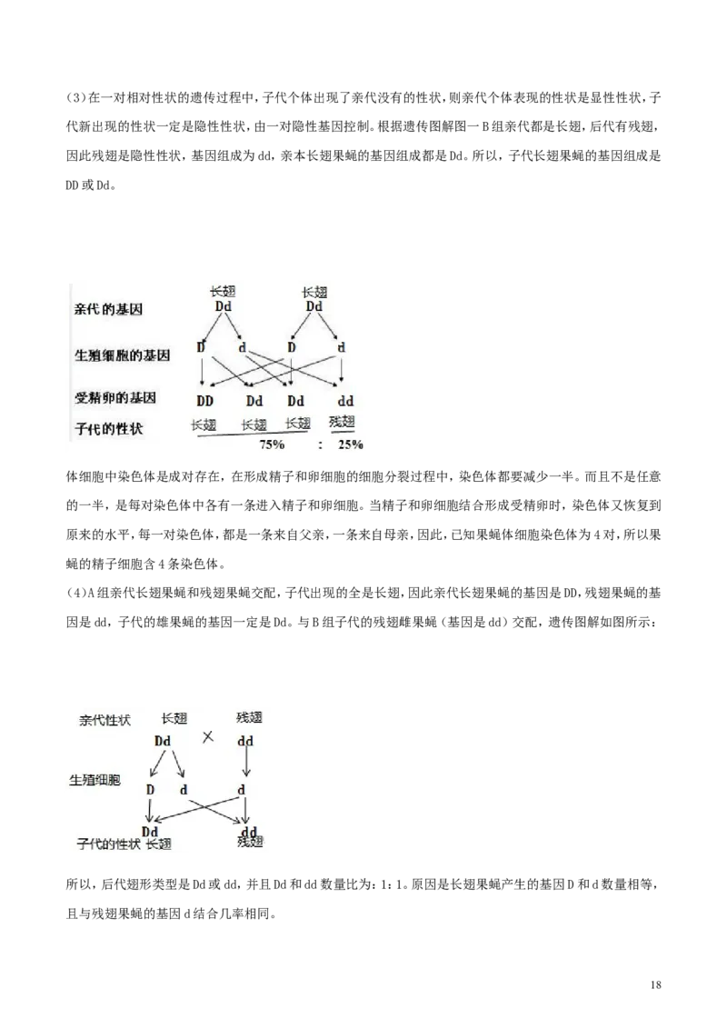 山东省潍坊市2018年中考生物真题试题（含解析）_8.生物中考真题2015-2024年_2018年全国中考生物141份