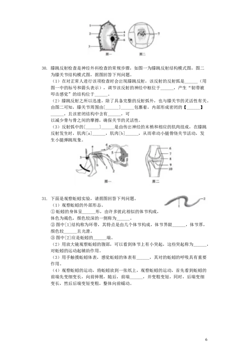 山东省聊城市2019年中考生物真题试题（含解析）_8.生物中考真题2015-2024年_2019年全国中考生物92份