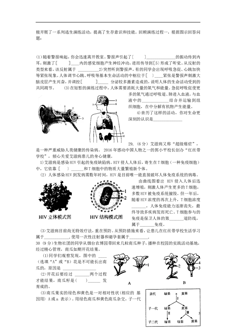 山东省烟台市2017年中考生物真题试题（含答案）_8.生物中考真题2015-2024年_2017年全国中考生物124份