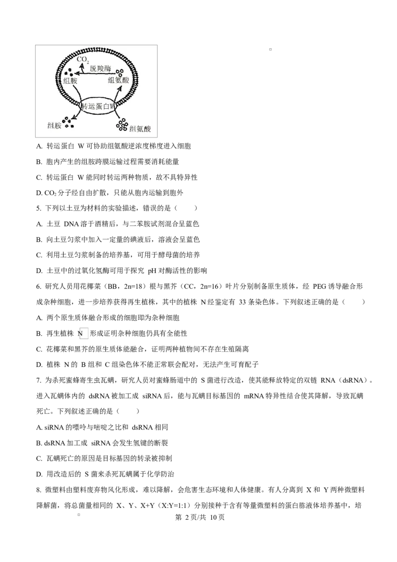 2025年高考生物试卷（四川卷）（空白卷）_四川历年高考真题2008-2025_Word版_2008-2025&middot;（四川）生物高考真题