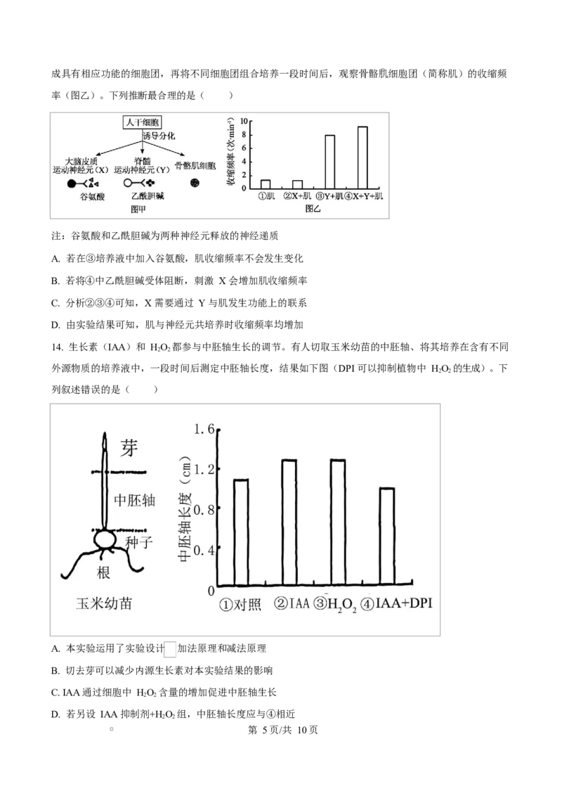 2025年高考生物试卷（四川卷）（空白卷）_四川历年高考真题2008-2025_Word版_2008-2025&middot;（四川）生物高考真题