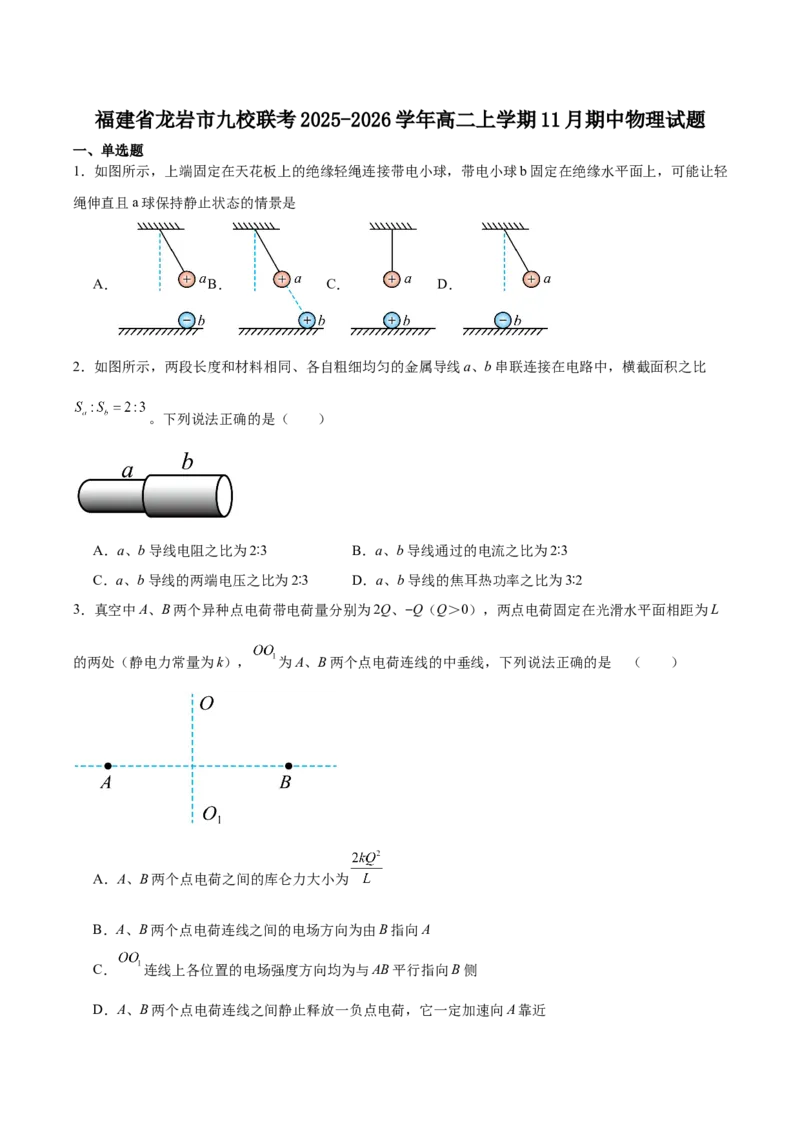 福建省龙岩市一级校盟2025-2026学年高二上学期半期考联考物理试卷（含解析）_251221福建省龙岩市一级校盟2025-2026学年高二上学期期中联考试题（全）