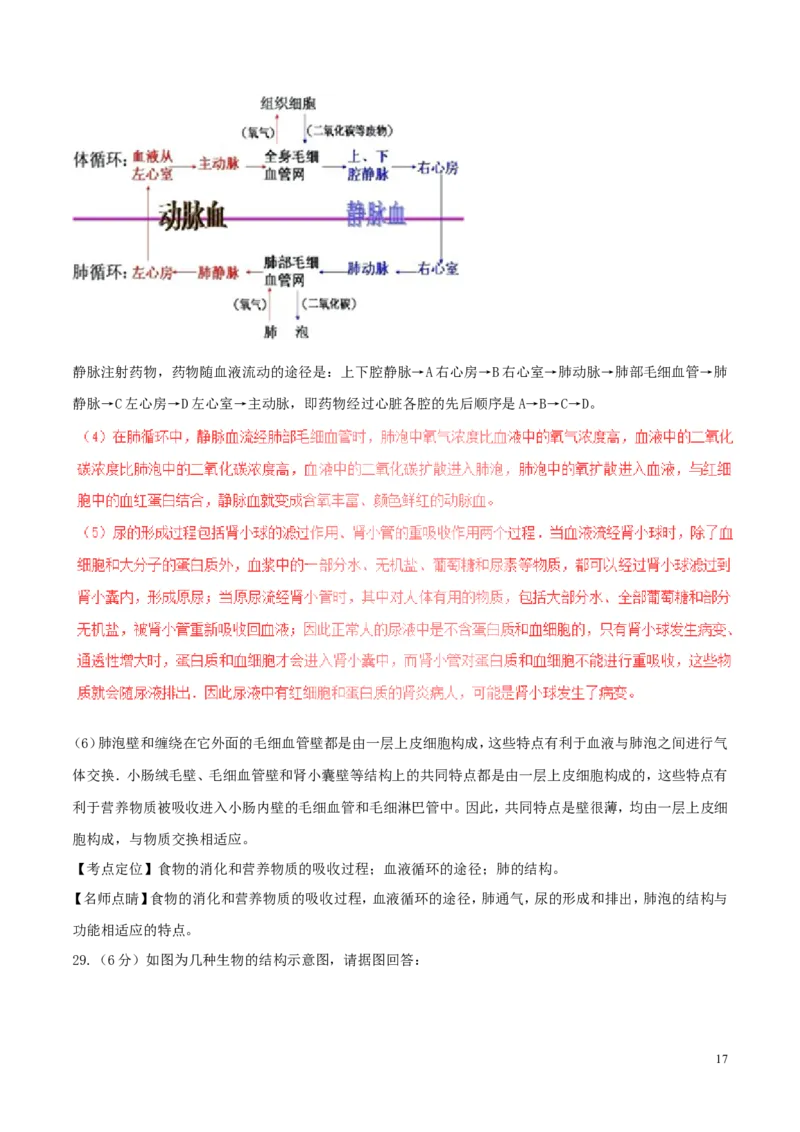 湖南省衡阳市2017年中考生物真题试题（含解析）_8.生物中考真题2015-2024年_2017年全国中考生物124份