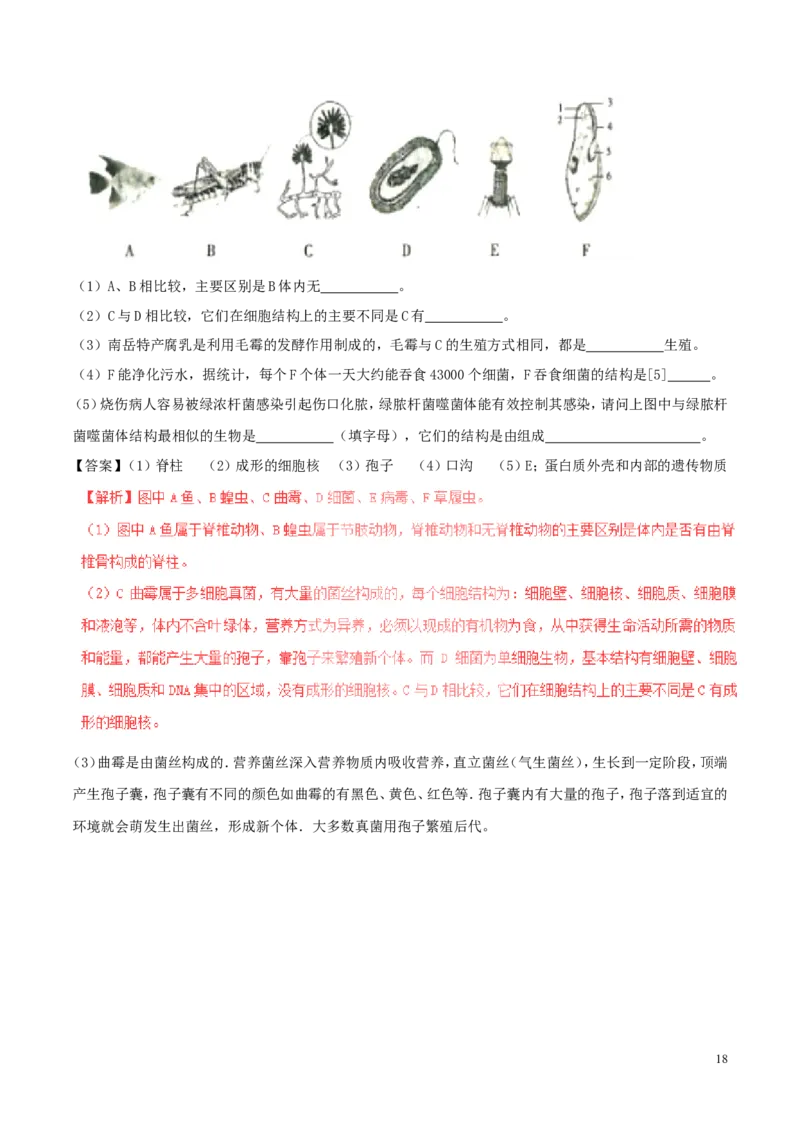 湖南省衡阳市2017年中考生物真题试题（含解析）_8.生物中考真题2015-2024年_2017年全国中考生物124份