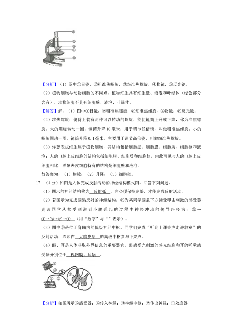 江苏省连云港市2019年中考生物真题试题（含解析）_8.生物中考真题2015-2024年_2019年全国中考生物92份