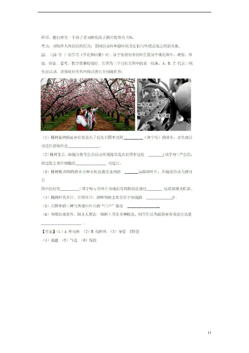 山东省济宁市2018年中考生物真题试题（扫描版，含解析）_8.生物中考真题2015-2024年_2018年全国中考生物141份