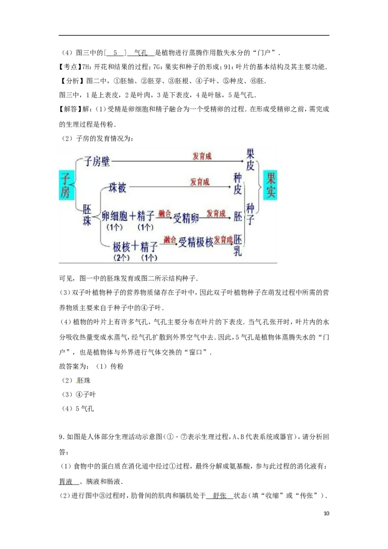 湖北省荆门市2017年中考生物真题试题（含解析）_8.生物中考真题2015-2024年_2017年全国中考生物124份