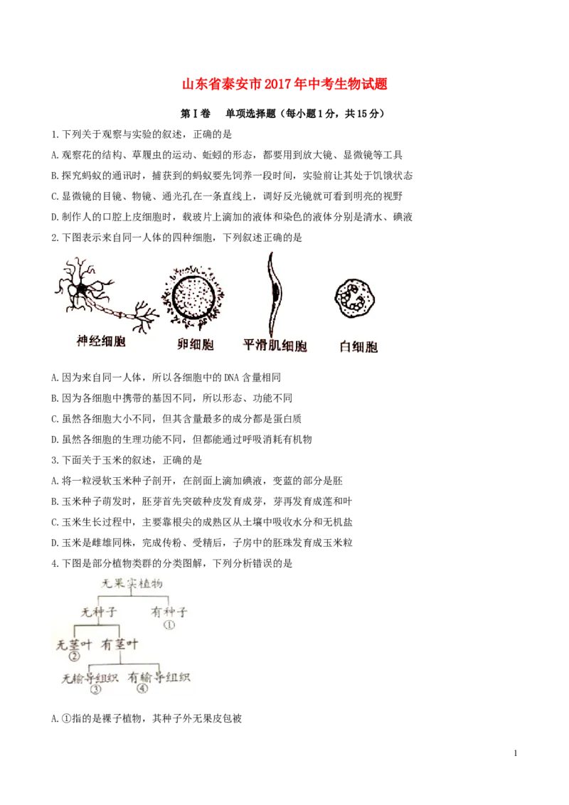 山东省泰安市2017年中考生物真题试题（含答案）_8.生物中考真题2015-2024年_2017年全国中考生物124份
