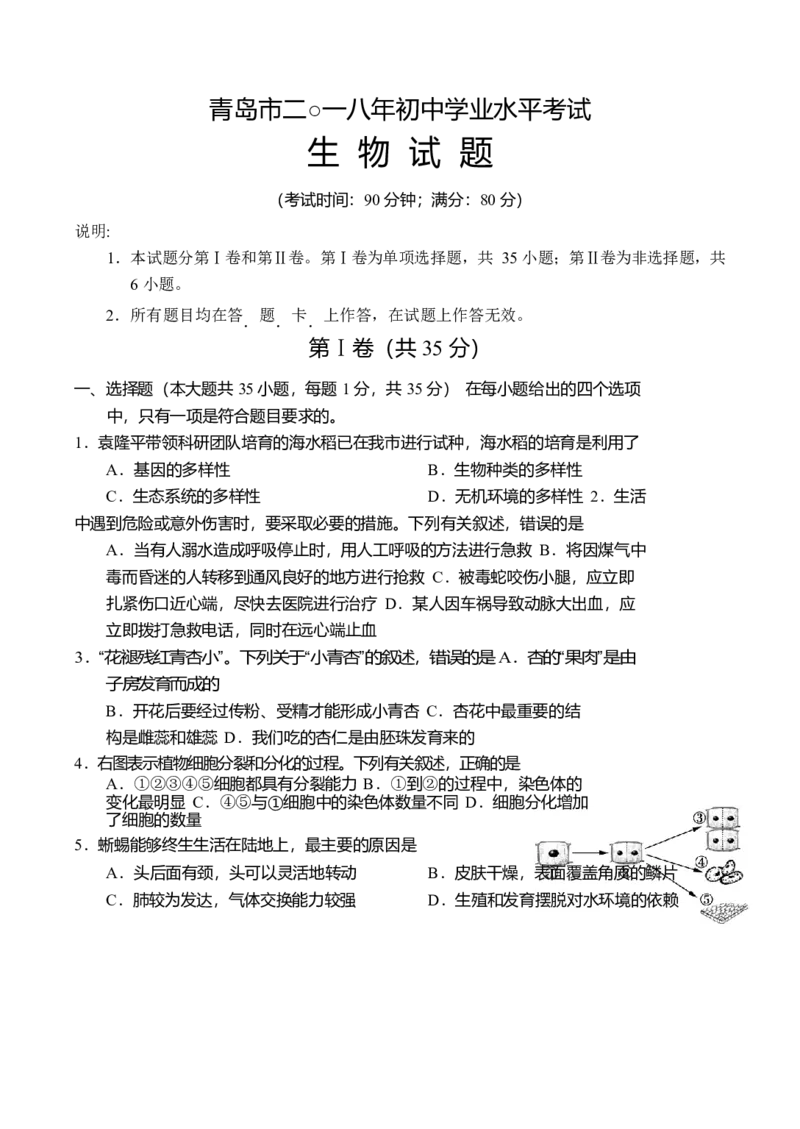 山东省青岛市2018年初中学业水平考试生物试题（word版含答案）_8.生物中考真题2015-2024年_2018年全国中考生物141份