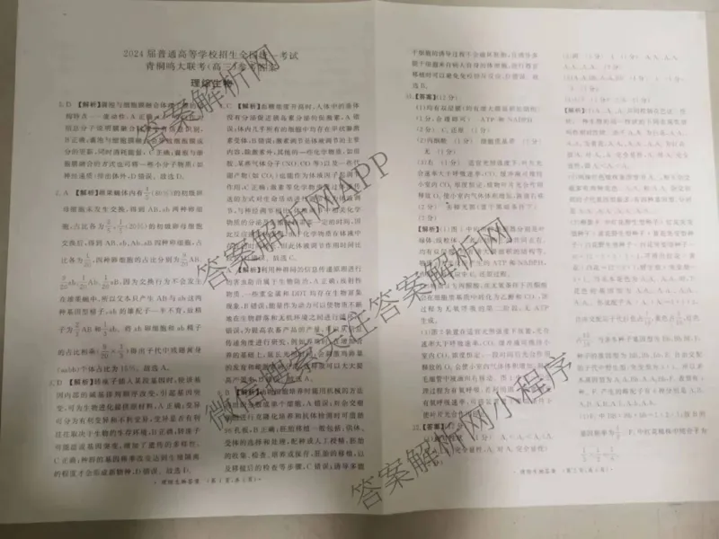 青桐鸣理综答案_2024年3月_013月合集_2024届河南省普通高等学校招生全国统一考试青桐鸣3月联考_河南省2024届普通高等学校招生全国统一考试青桐鸣3月联考理综