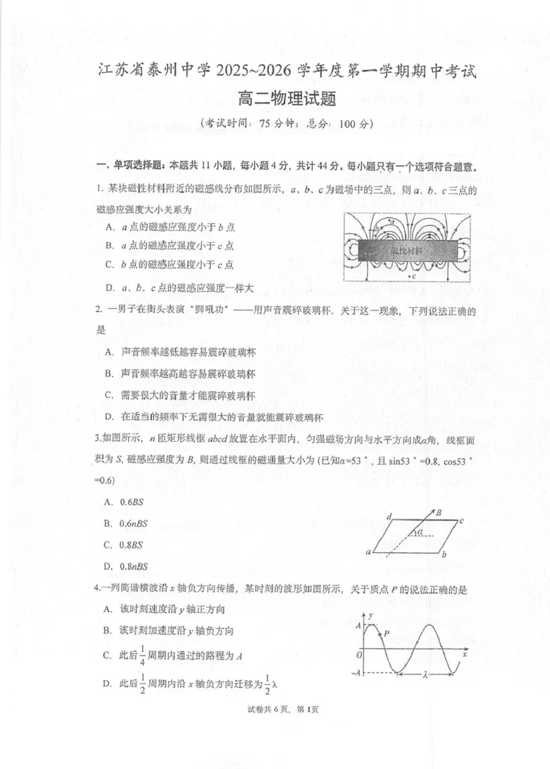 江苏省泰州中学2025-2026学年高二上学期11月期中考试物理PDF版含解析_251214江苏省泰州中学2025-2026学年高二上学期11月期中考试（全）