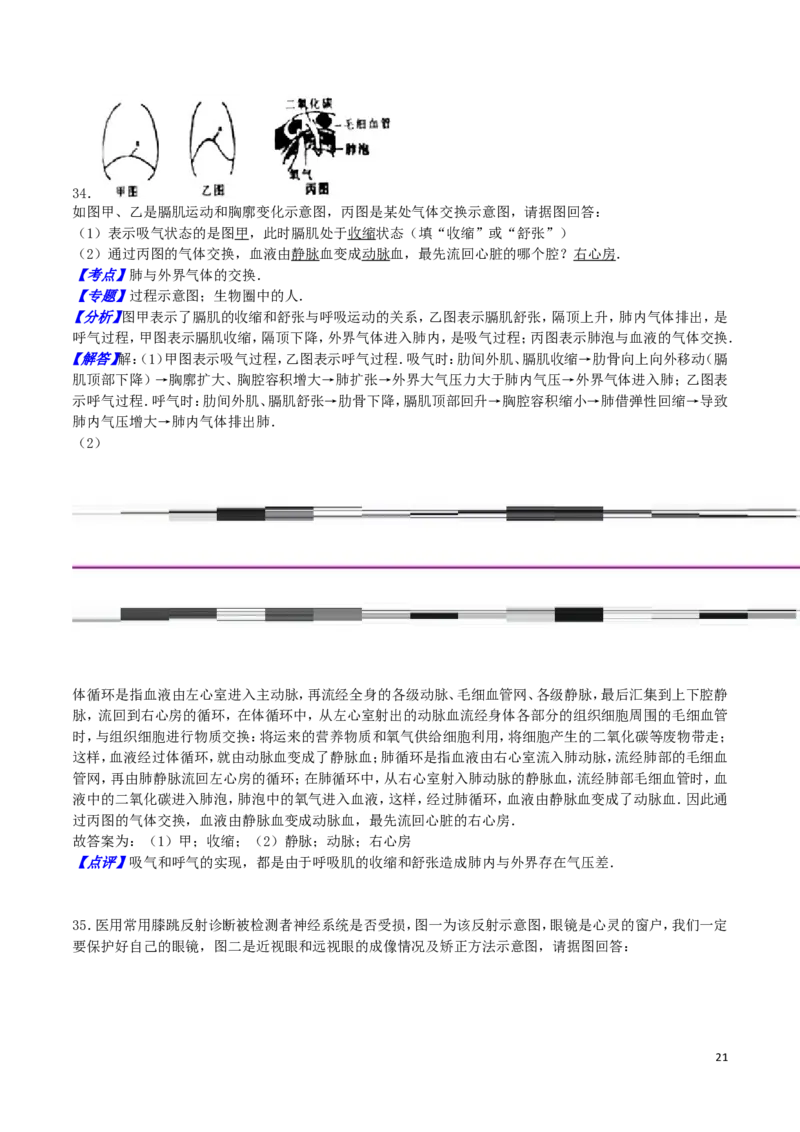 湖南省娄底市2016年中考生物真题试题（含解析）_8.生物中考真题2015-2024年_2016年全国中考生物74份