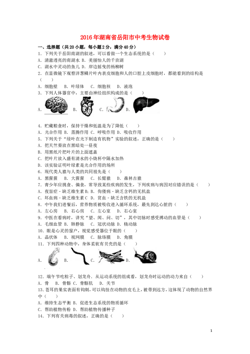 湖南省岳阳市2016年中考生物真题试题（含解析）_8.生物中考真题2015-2024年_2016年全国中考生物74份