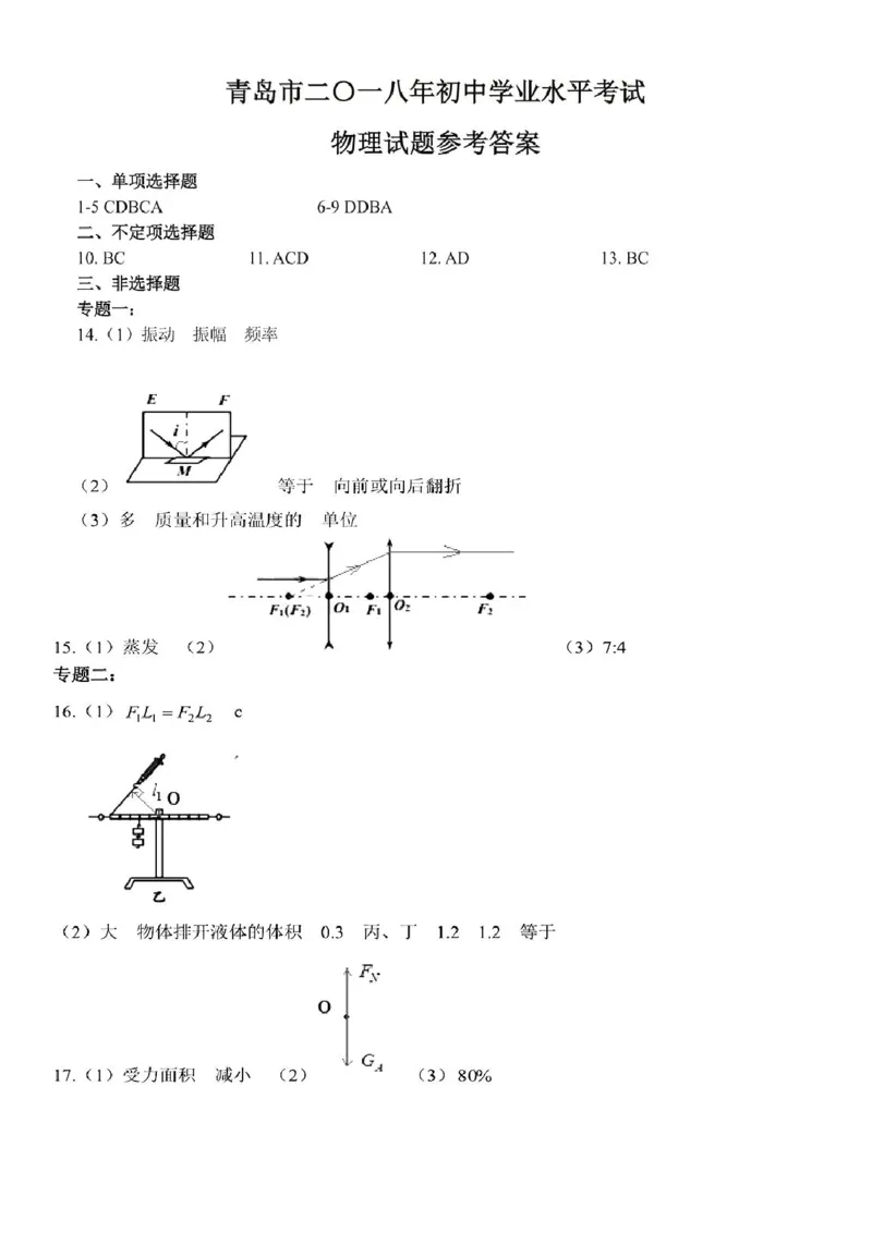 山东省青岛市2018年中考物理真题试题（pdf，含答案）_中考真题_4.物理中考真题2015-2024年_2018年中考物理真题223份
