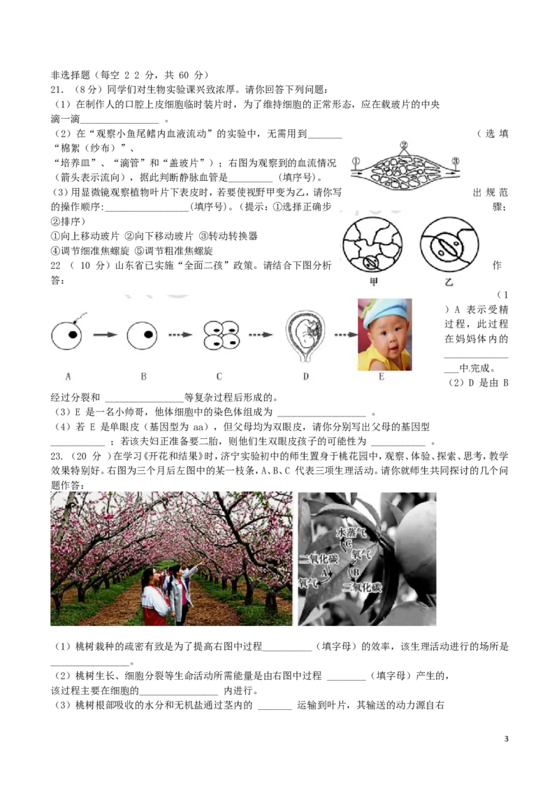 山东省济宁市2016年中考生物真题试题（含答案）_8.生物中考真题2015-2024年_2016年全国中考生物74份
