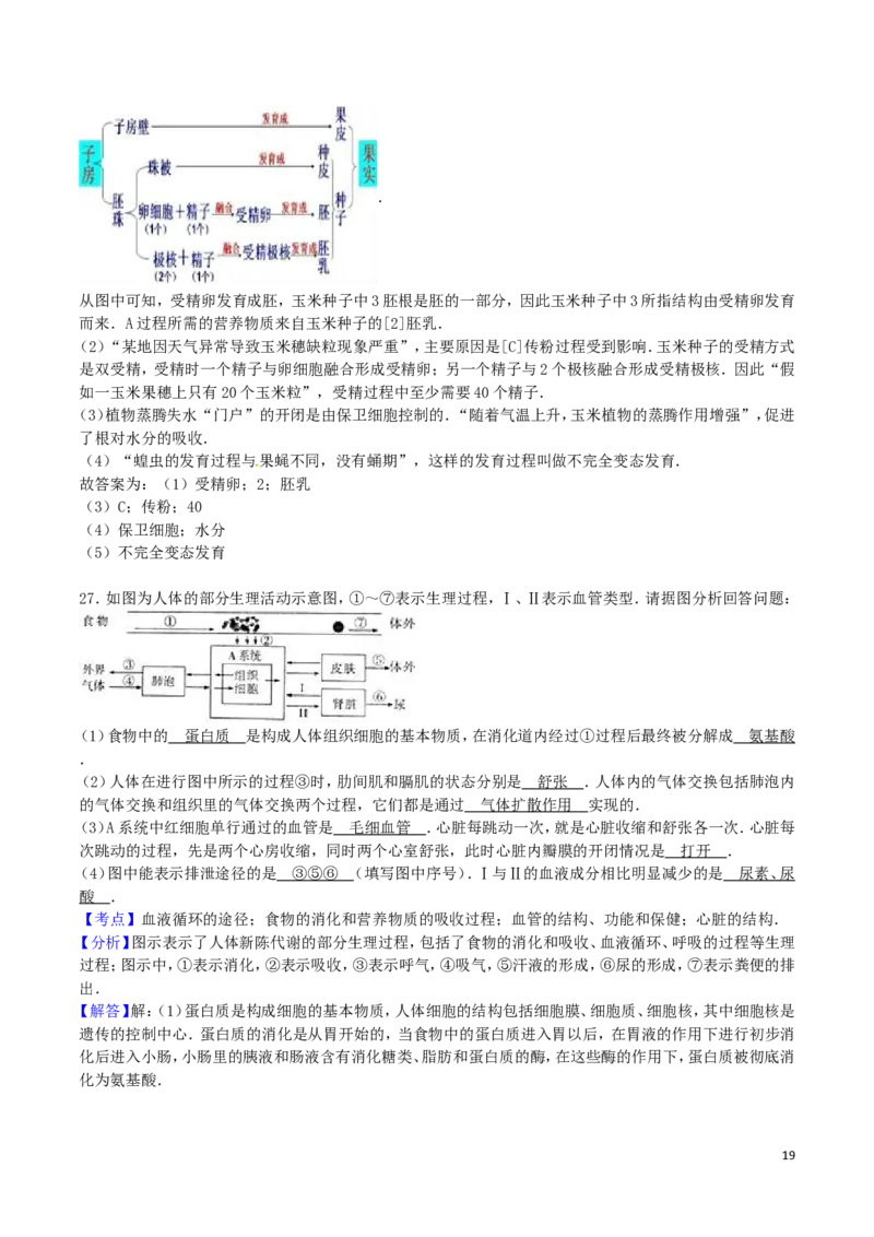山东省滨州市2016年中考生物真题试题（含解析）_8.生物中考真题2015-2024年_2016年全国中考生物74份