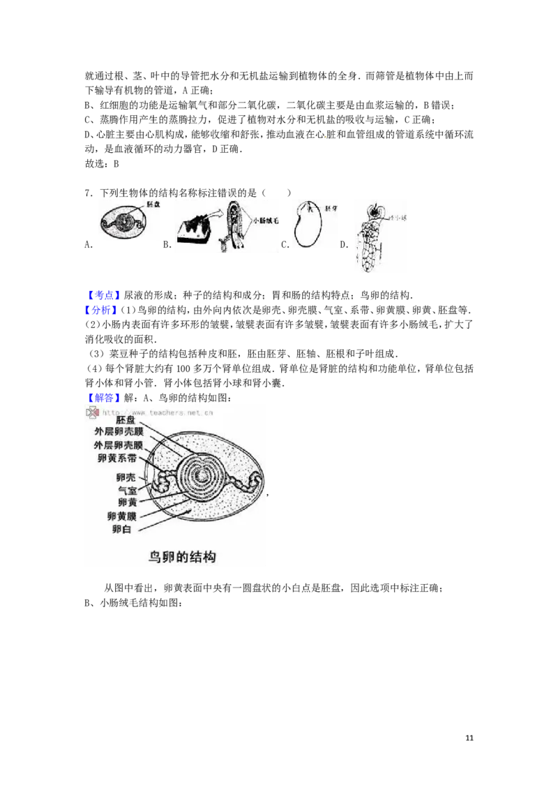 山东省泰安市2016年中考生物真题试题（含解析）_8.生物中考真题2015-2024年_2016年全国中考生物74份