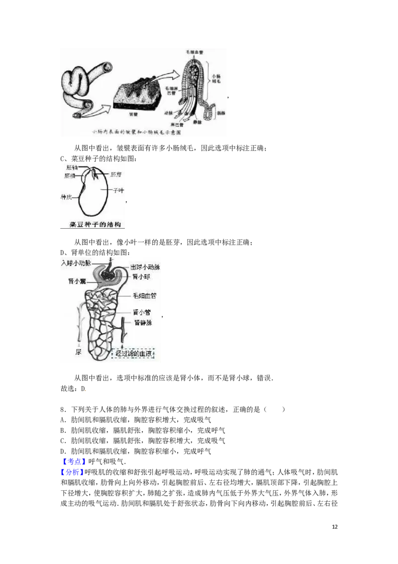 山东省泰安市2016年中考生物真题试题（含解析）_8.生物中考真题2015-2024年_2016年全国中考生物74份