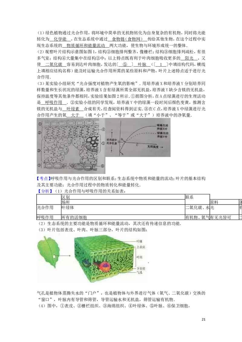 山东省泰安市2016年中考生物真题试题（含解析）_8.生物中考真题2015-2024年_2016年全国中考生物74份