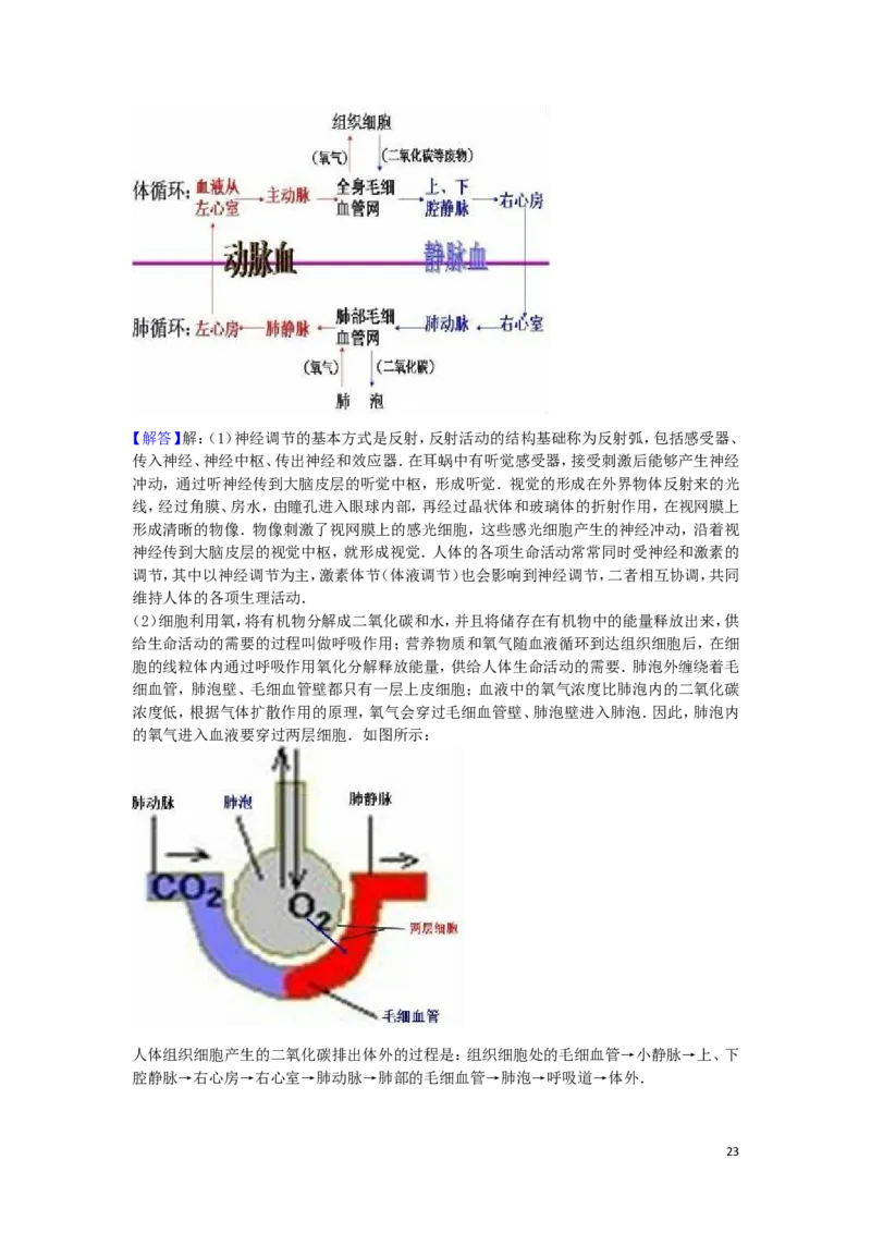 山东省泰安市2016年中考生物真题试题（含解析）_8.生物中考真题2015-2024年_2016年全国中考生物74份