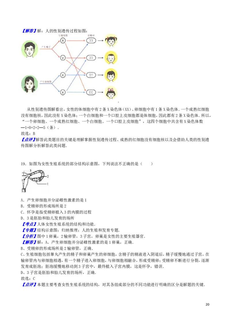 山东省东营市2016年中考生物真题试题（含解析）_8.生物中考真题2015-2024年_2016年全国中考生物74份