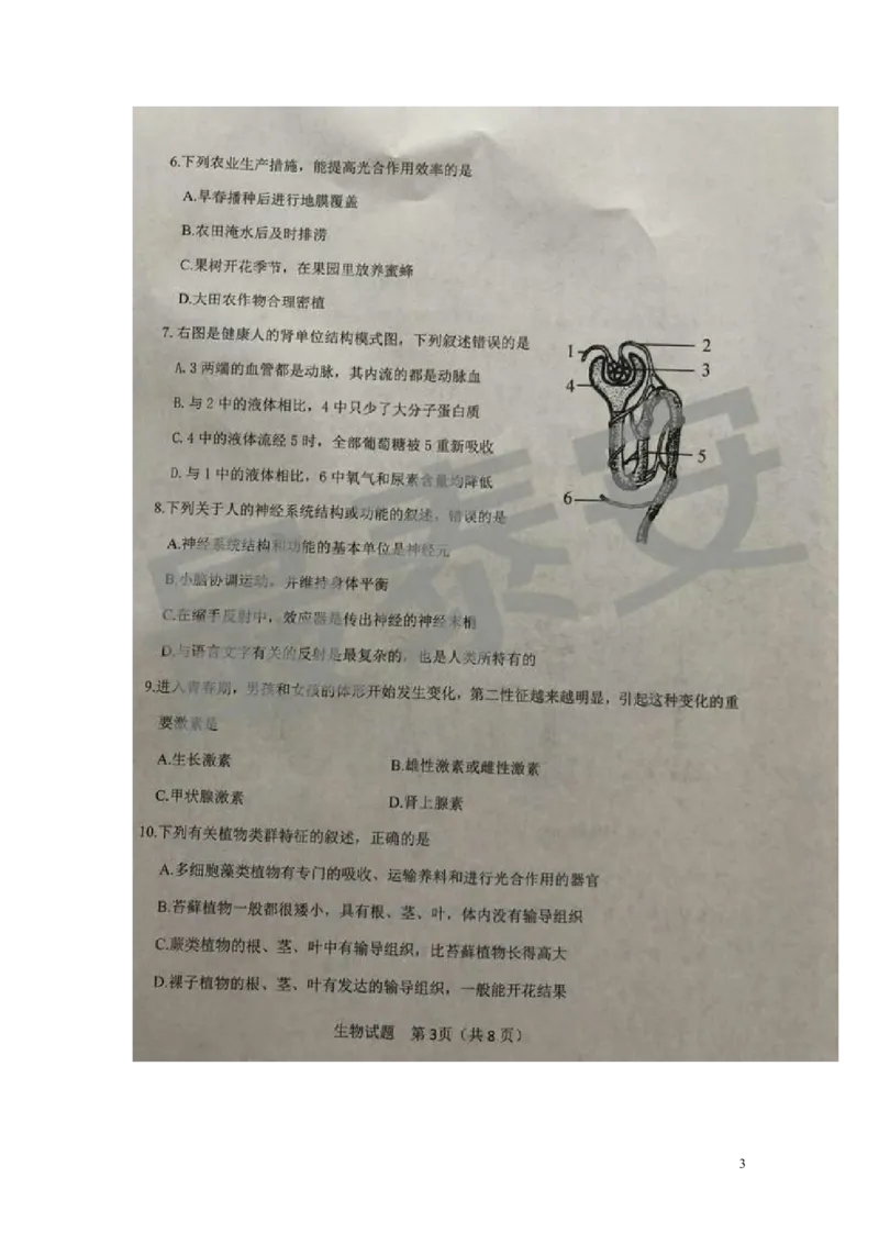 山东省泰安市2019年中考生物真题试题（扫描版）_8.生物中考真题2015-2024年_2019年全国中考生物92份