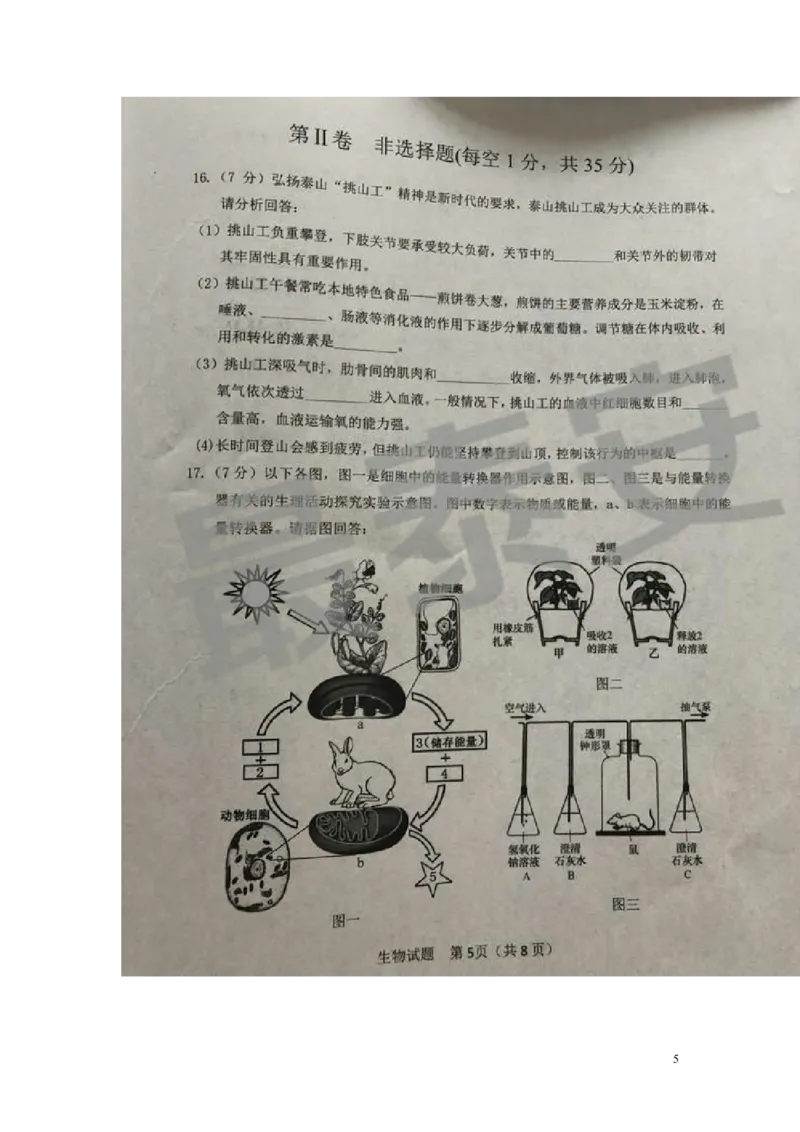 山东省泰安市2019年中考生物真题试题（扫描版）_8.生物中考真题2015-2024年_2019年全国中考生物92份