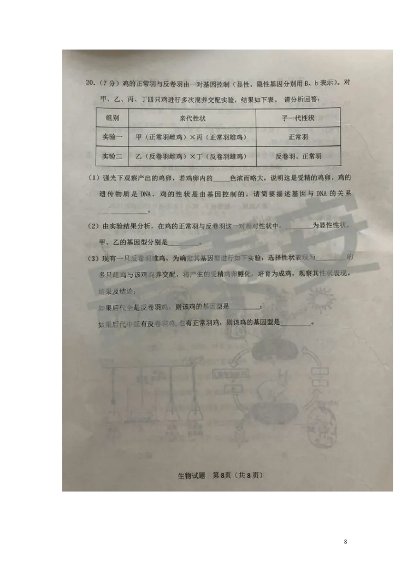 山东省泰安市2019年中考生物真题试题（扫描版）_8.生物中考真题2015-2024年_2019年全国中考生物92份