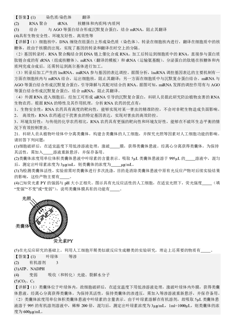 江苏生物-答案_1.高考2025全国各省真题+答案_00.2025各省市高考真题及答案（按省份分类）_5、江苏卷（9科全）_6.生物