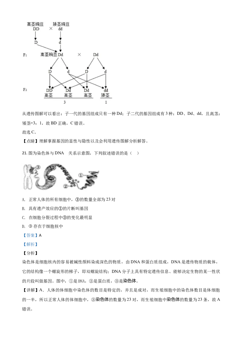 精品解析：山东省聊城市2020年中考生物试题（解析版）_8.生物中考真题2015-2024年_2020生物真题74份_2020年中考真题精品解析生物（山东聊城卷）精编word版