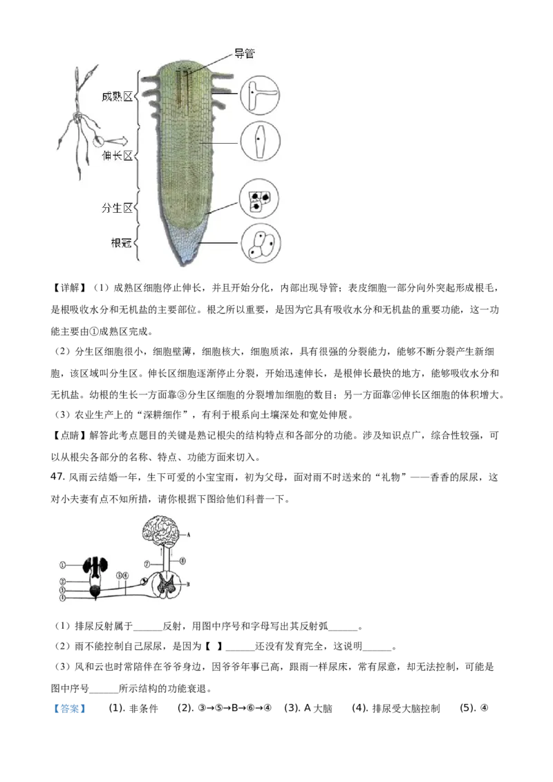 湖南娄底市2020年中考生物试题（教师版）_8.生物中考真题2015-2024年_地区卷_湖南省_湖南娄底生物18-22