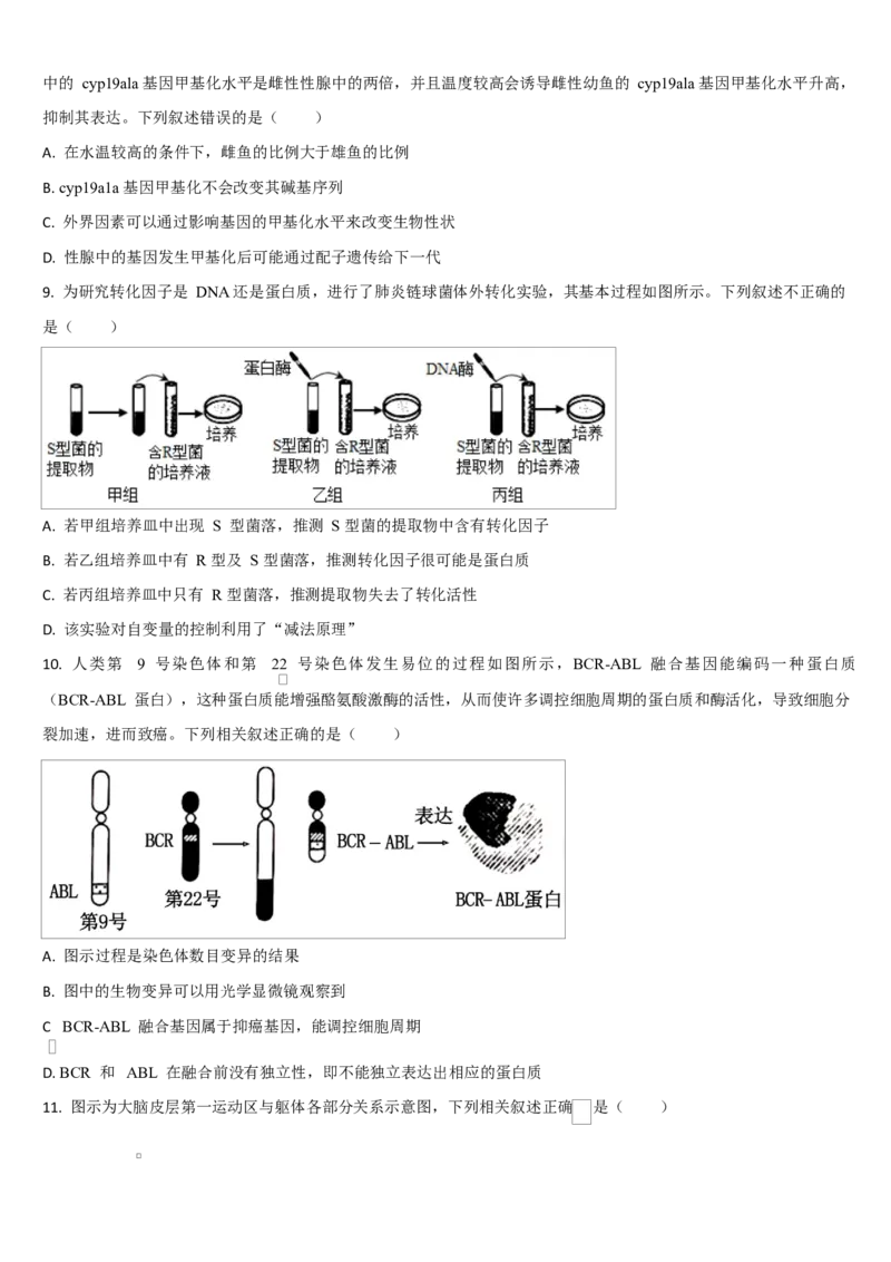 吉林省通化市梅河口市第五中学2025-2026学年高二上学期10月月考试题生物Word版含答案_2025年10月高二试卷_251016吉林省通化市梅河口市第五中学2025-2026学年高二上学期10月月考试题(全）