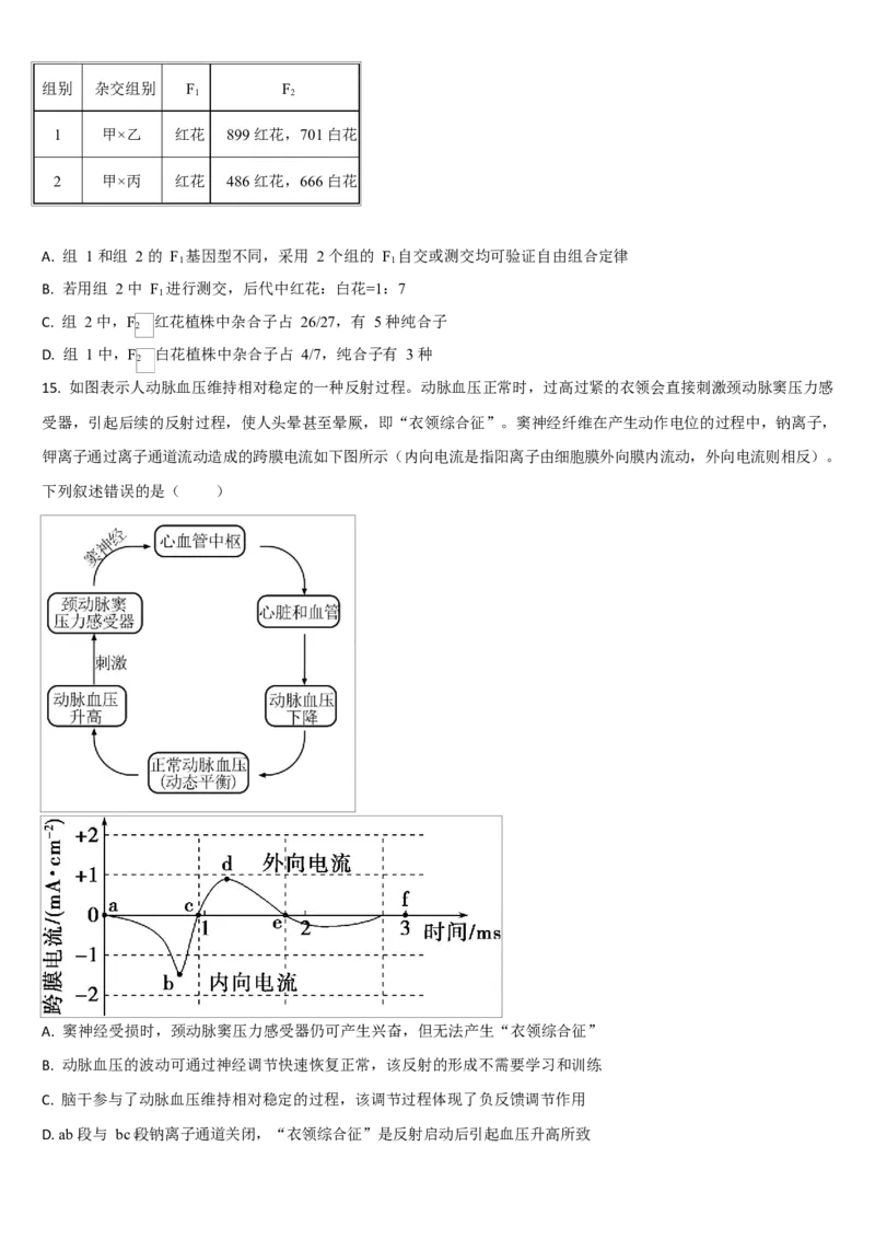 吉林省通化市梅河口市第五中学2025-2026学年高二上学期10月月考试题生物Word版含答案_2025年10月高二试卷_251016吉林省通化市梅河口市第五中学2025-2026学年高二上学期10月月考试题(全）