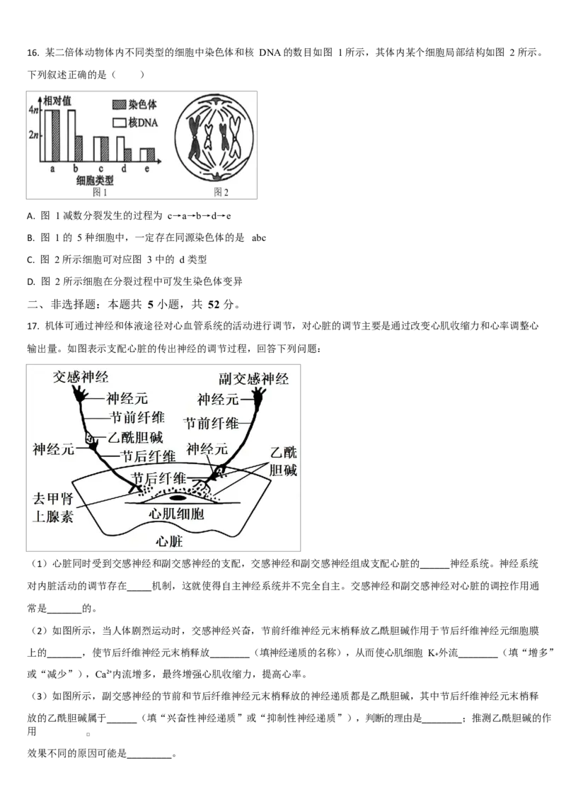 吉林省通化市梅河口市第五中学2025-2026学年高二上学期10月月考试题生物Word版含答案_2025年10月高二试卷_251016吉林省通化市梅河口市第五中学2025-2026学年高二上学期10月月考试题(全）