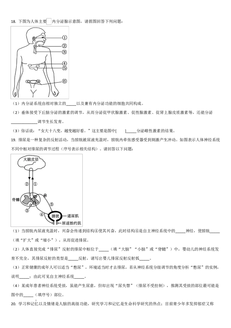 吉林省通化市梅河口市第五中学2025-2026学年高二上学期10月月考试题生物Word版含答案_2025年10月高二试卷_251016吉林省通化市梅河口市第五中学2025-2026学年高二上学期10月月考试题(全）