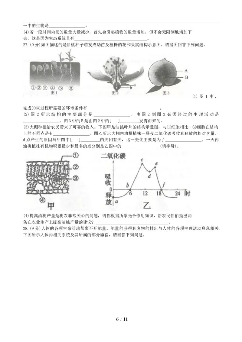 山东省临沂市2019年初中学业考试生物试题_8.生物中考真题2015-2024年_地区卷_山东省_临沂生物08-22_临沂生物