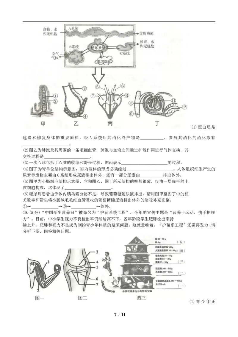 山东省临沂市2019年初中学业考试生物试题_8.生物中考真题2015-2024年_地区卷_山东省_临沂生物08-22_临沂生物