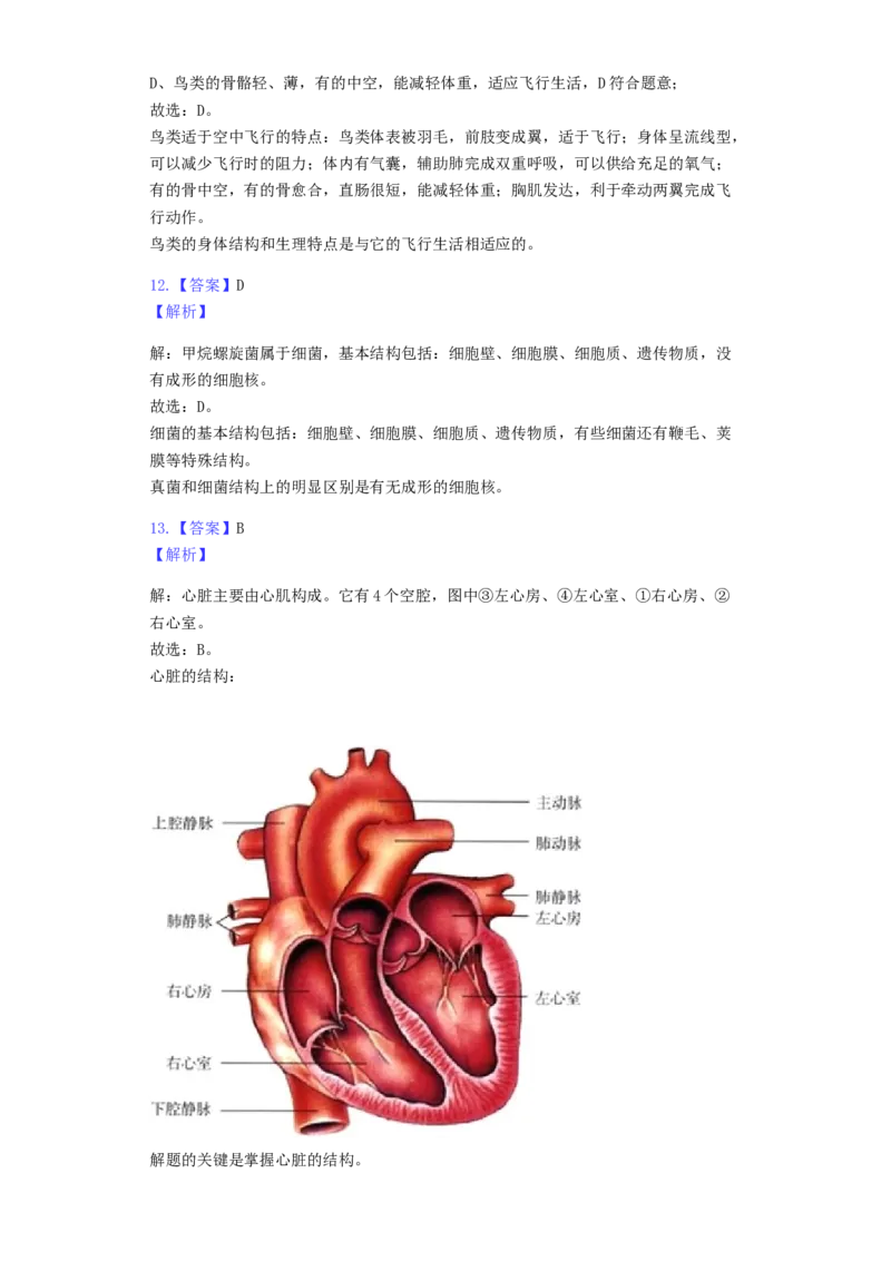 江苏省南通市2019年中考生物试卷（含解析）_8.生物中考真题2015-2024年_2019年全国中考生物92份