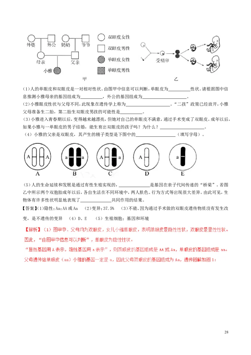 山东省青岛市2017年中考生物真题试题（含解析）_8.生物中考真题2015-2024年_2017年全国中考生物124份
