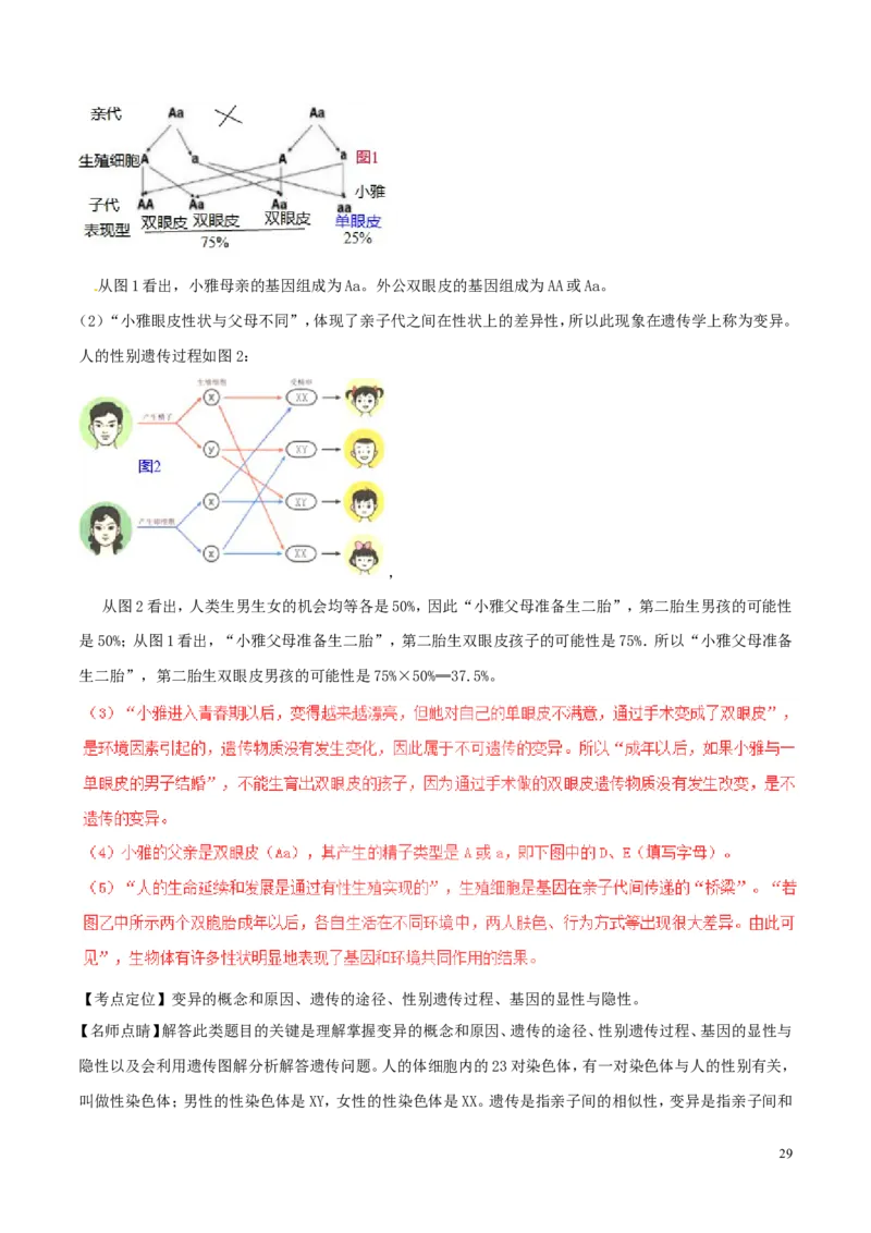 山东省青岛市2017年中考生物真题试题（含解析）_8.生物中考真题2015-2024年_2017年全国中考生物124份