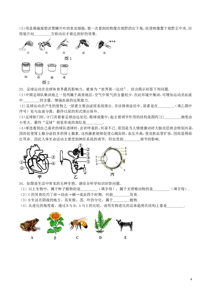 湖南省衡阳市2016年中考生物真题试题（含解析）_8.生物中考真题2015-2024年_2016年全国中考生物74份