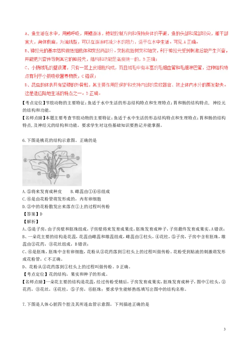 安徽省桐城市2017年中考生物真题试题（含解析）_8.生物中考真题2015-2024年_2017年全国中考生物124份