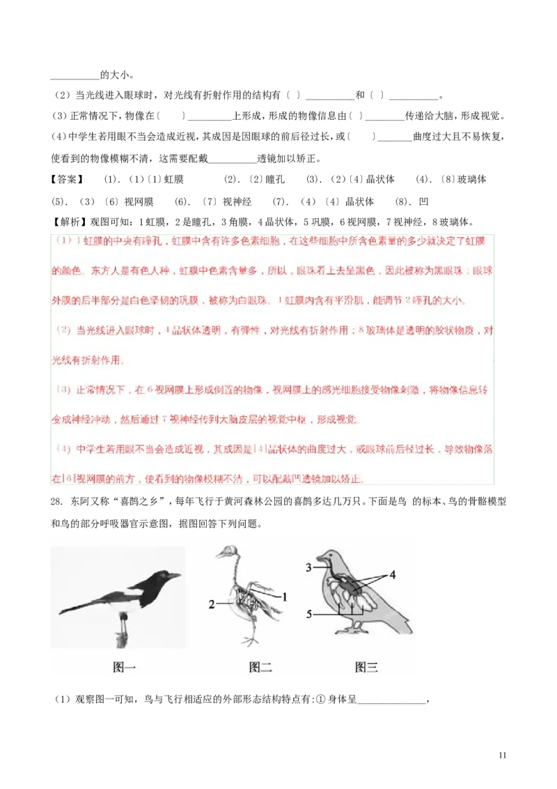 山东省聊城市2018年中考生物真题试题（含解析）_8.生物中考真题2015-2024年_2018年全国中考生物141份